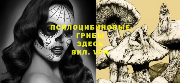 дмт Бугульма